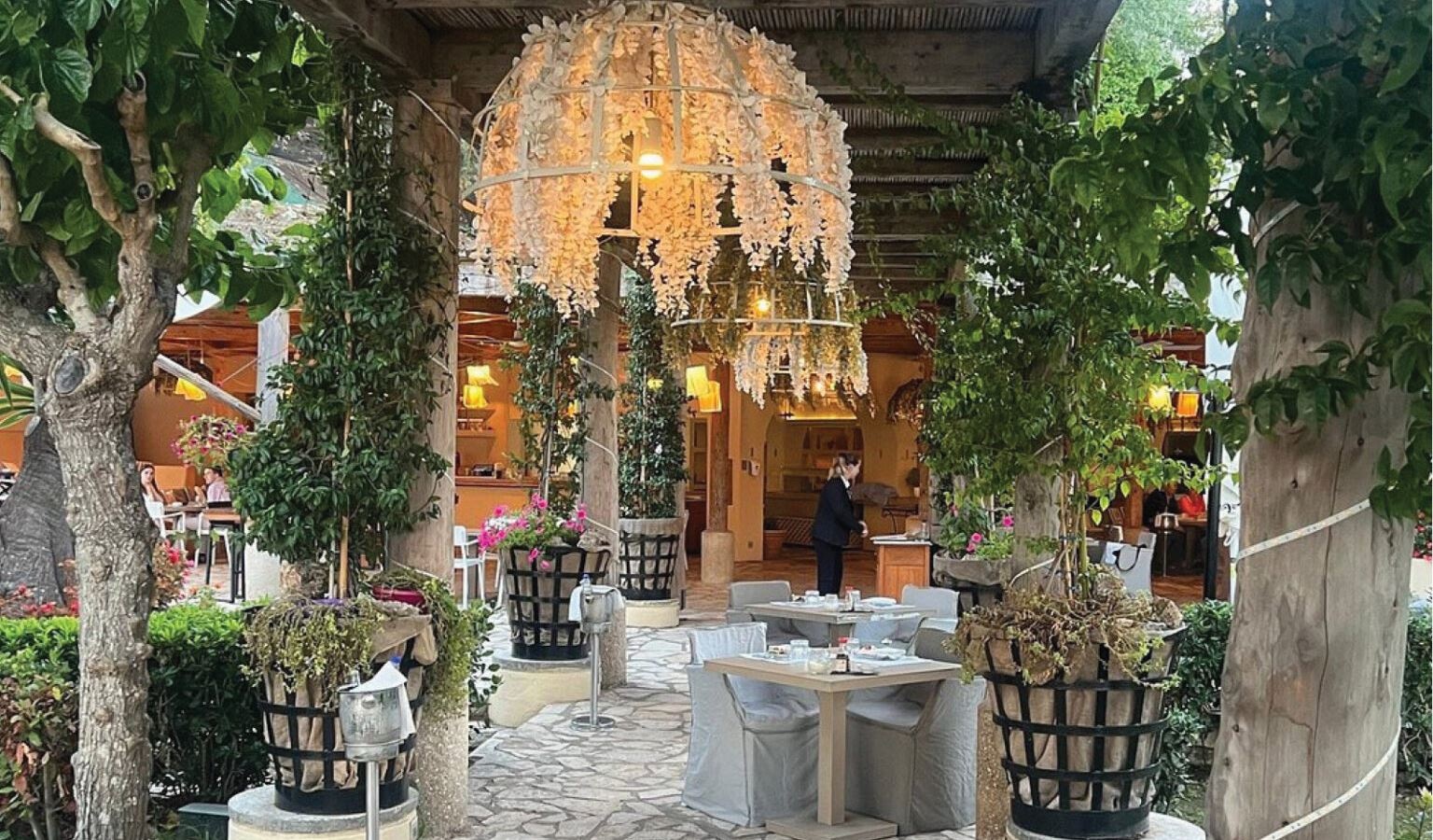 restaurants-asia-oliva