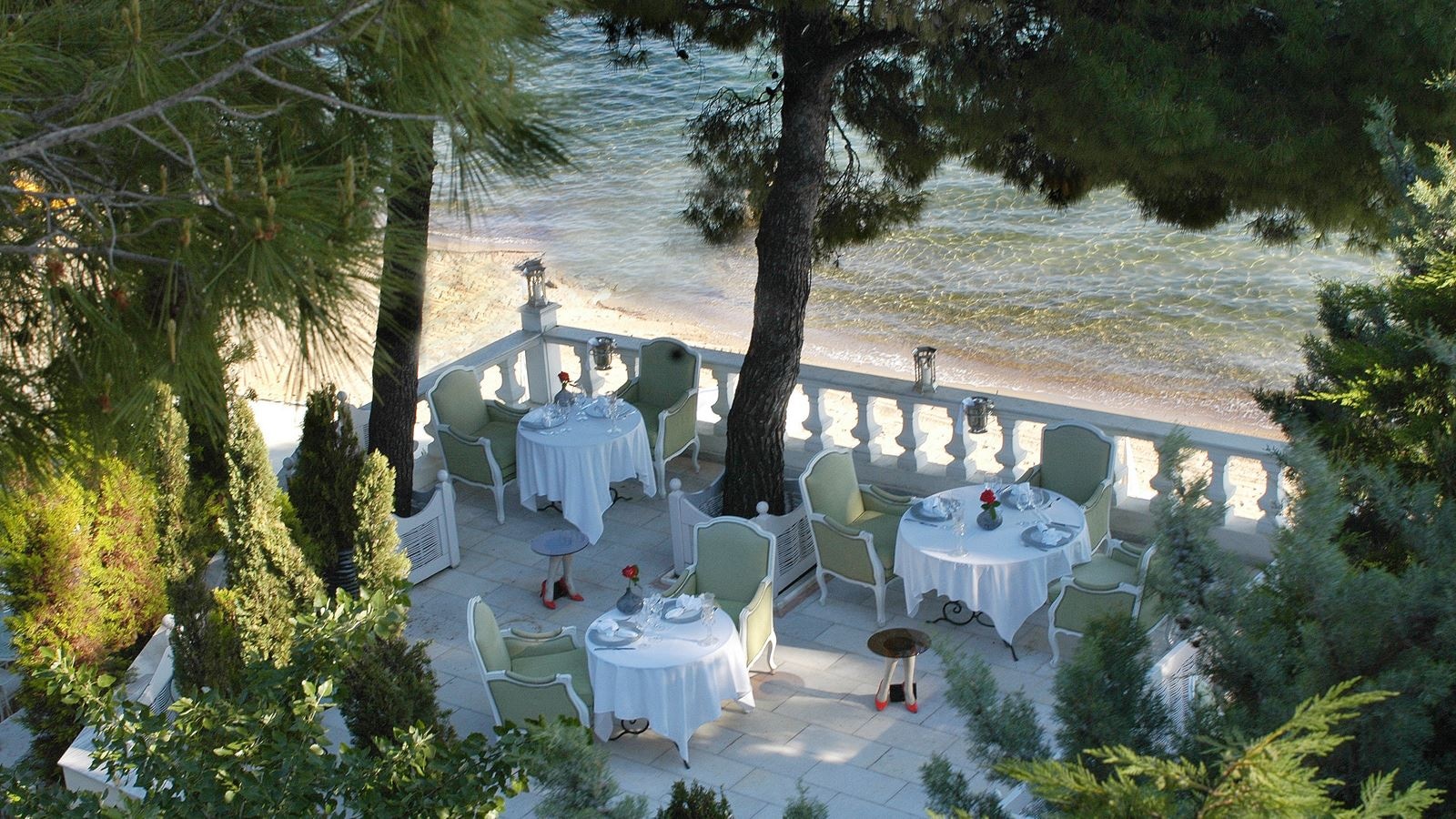 restaurants-squirrel