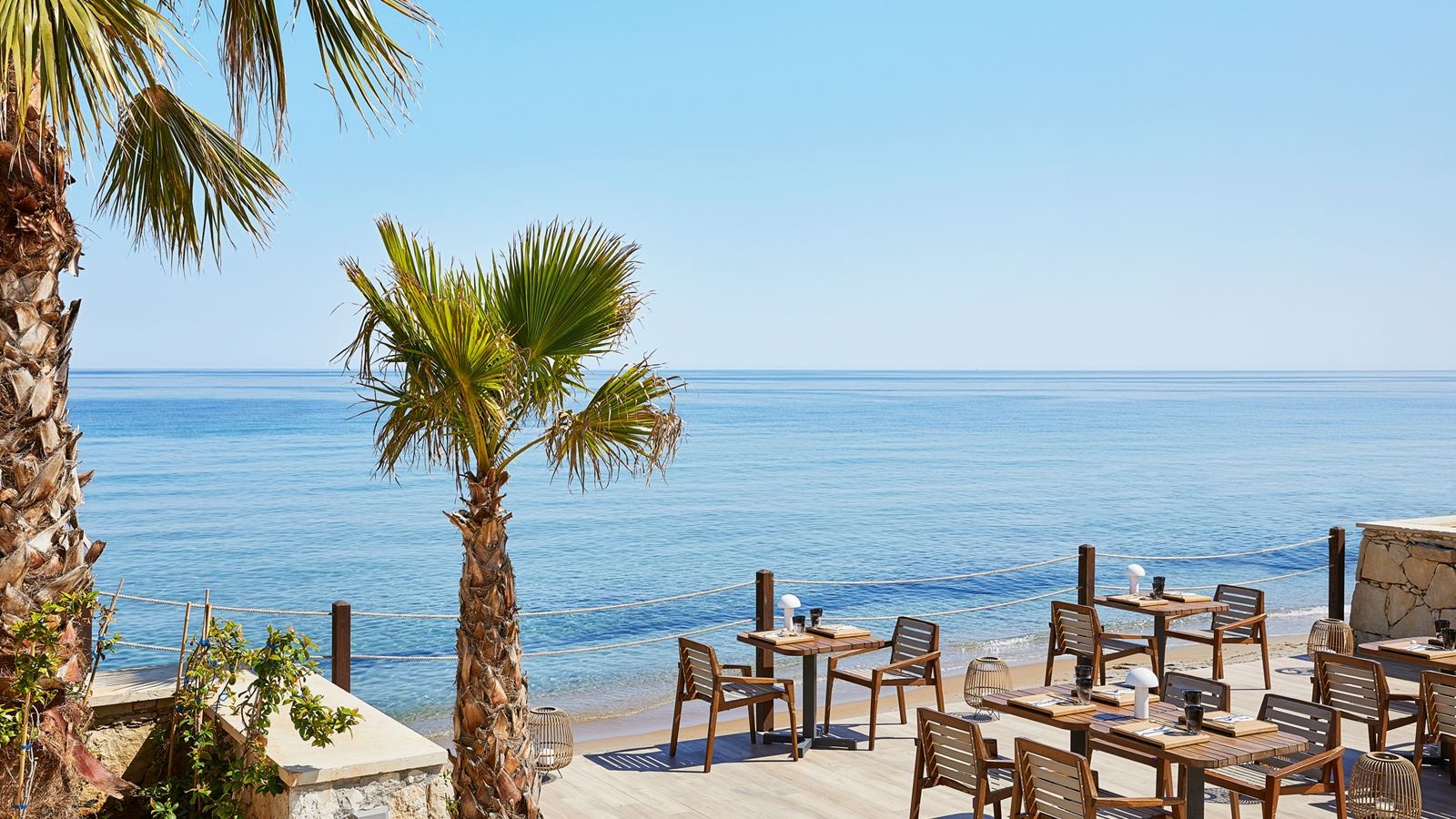 restaurants-asia-white