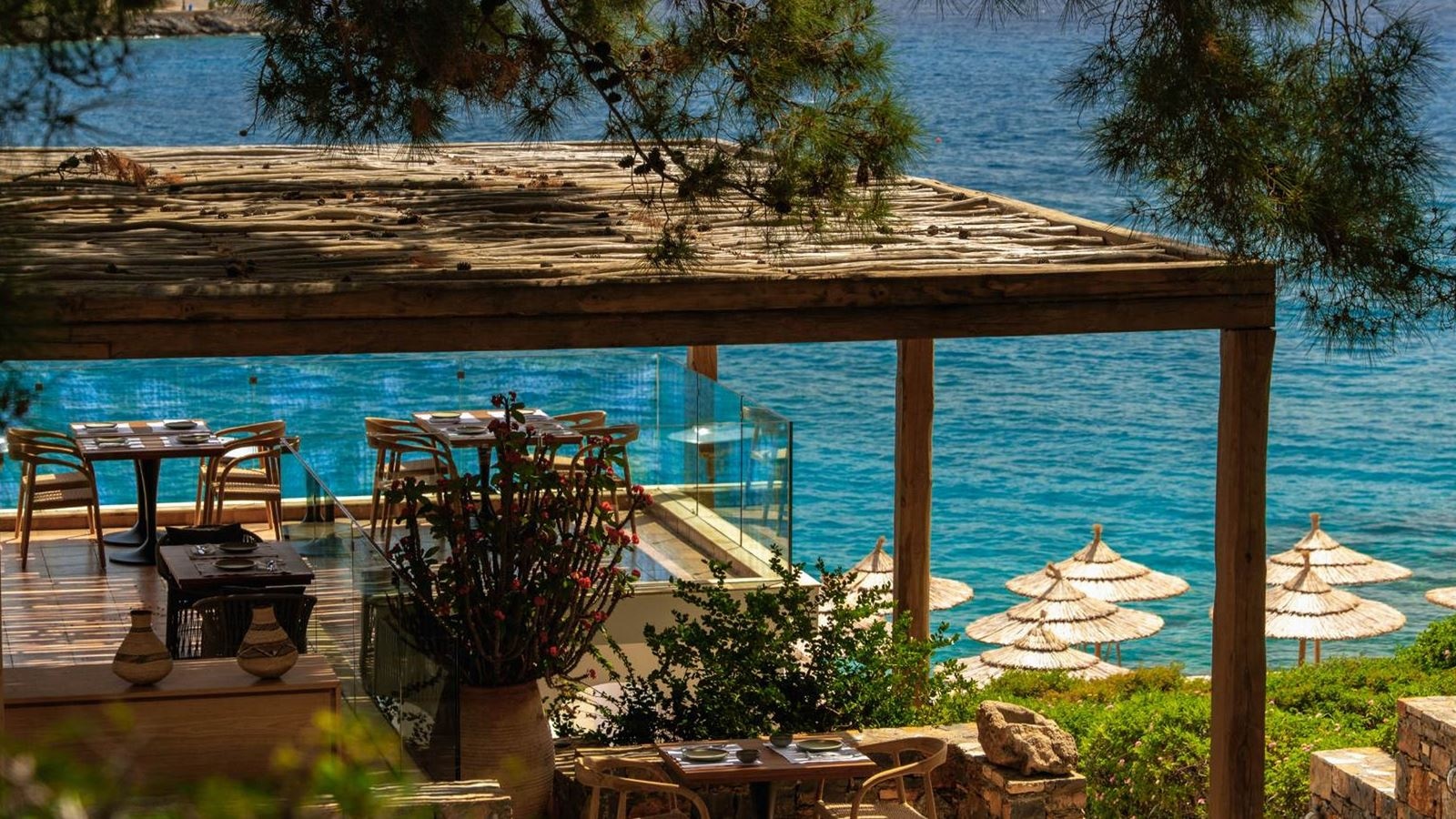 restaurants-terpsis-restaurant