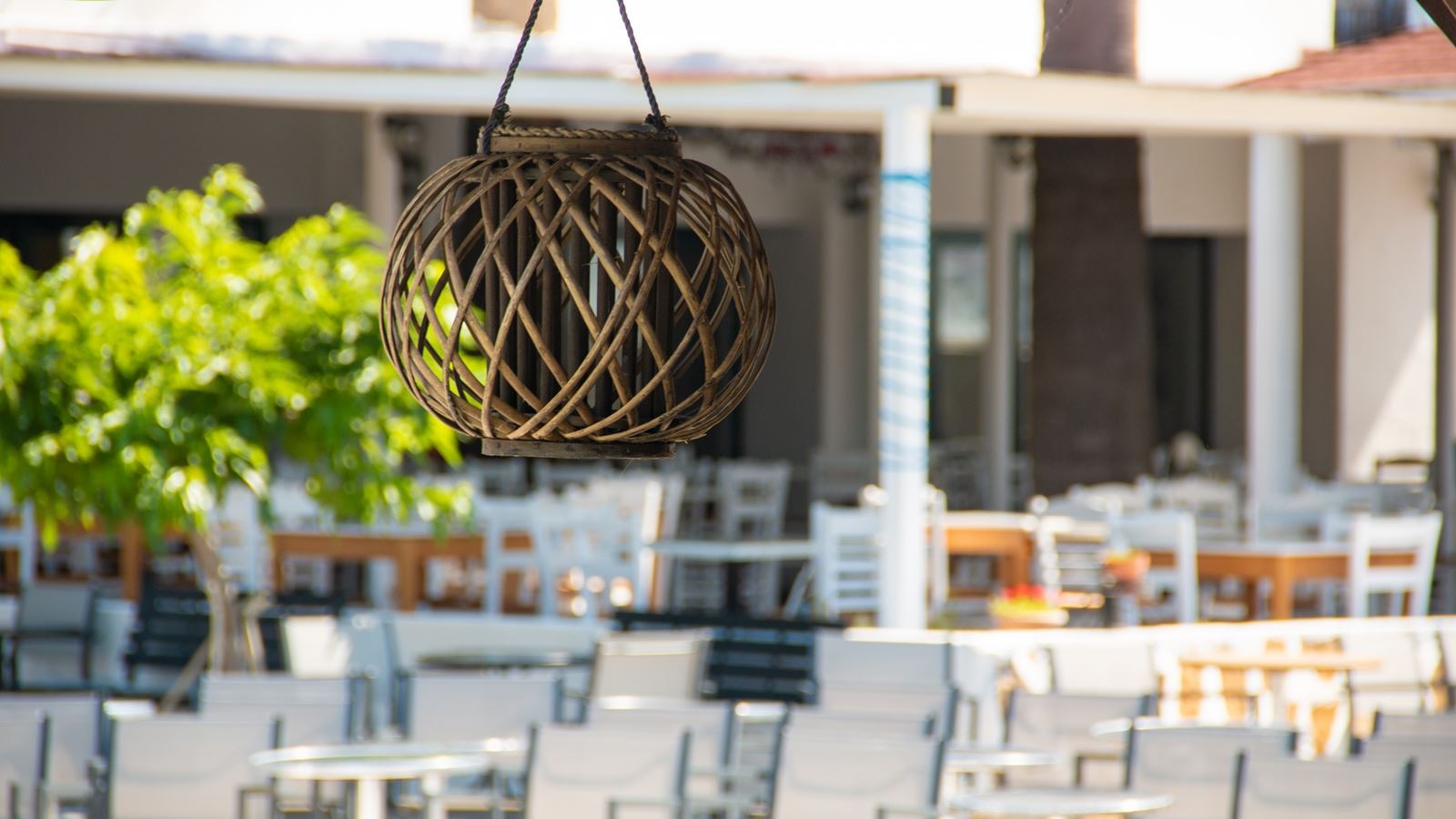 restaurants-main-restaurant