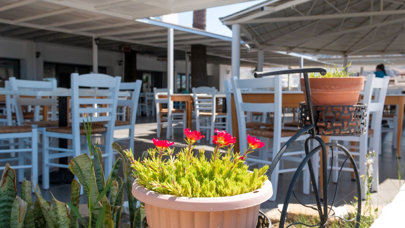 restaurants-main-restaurant