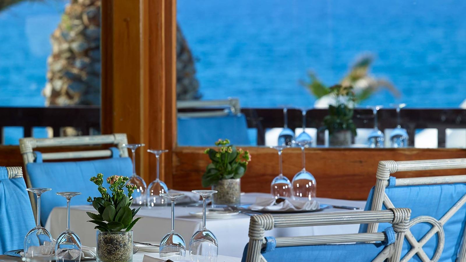 restaurants-fontana-amorosa