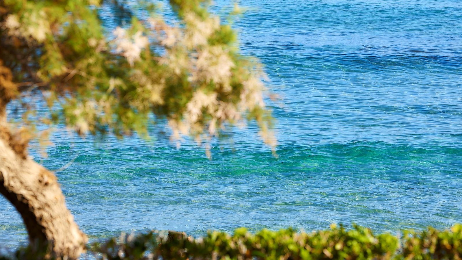 rooms-comfort-room-sea-view-balcony-or-terrace