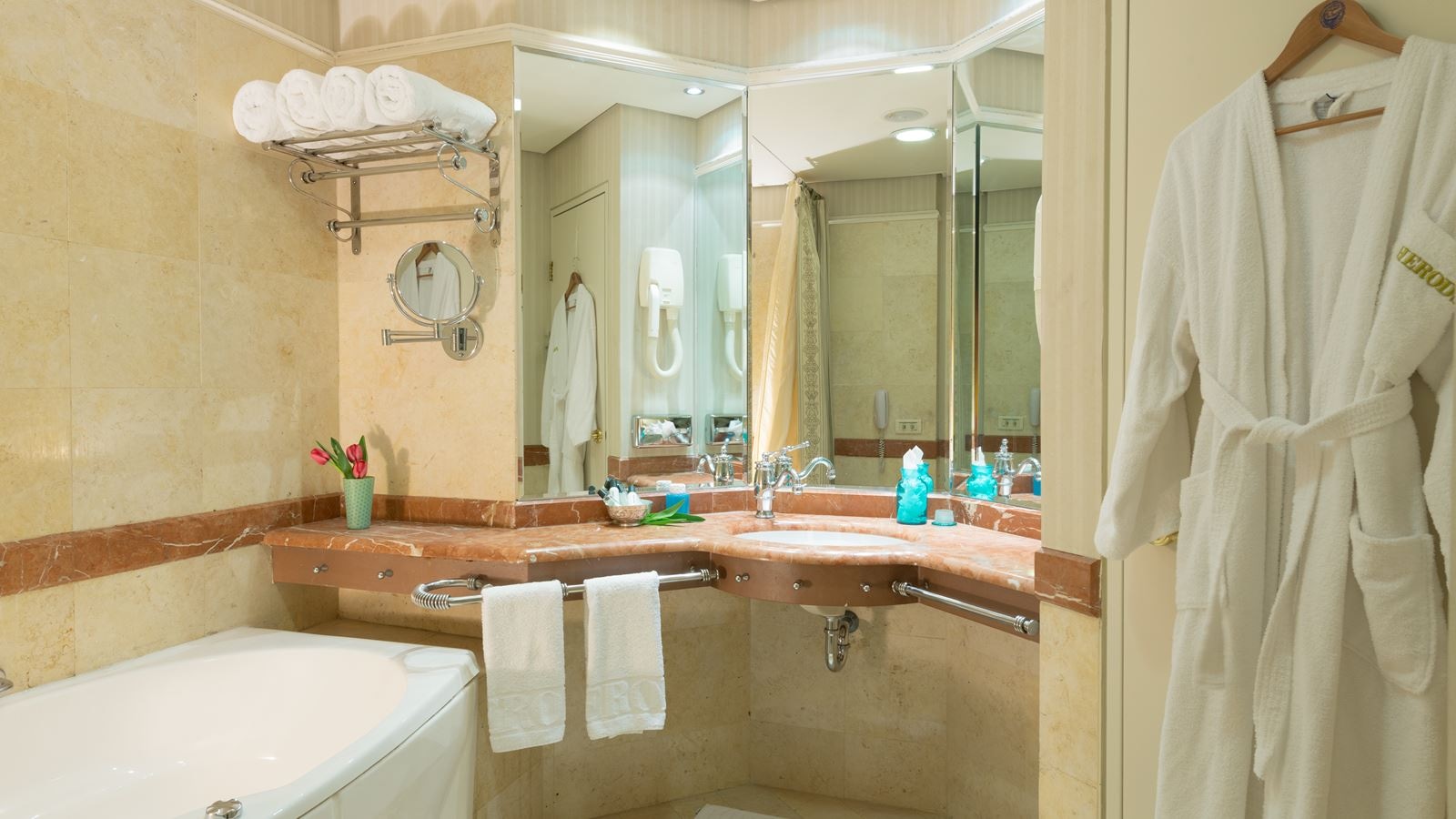 rooms-vitalis-executive-room