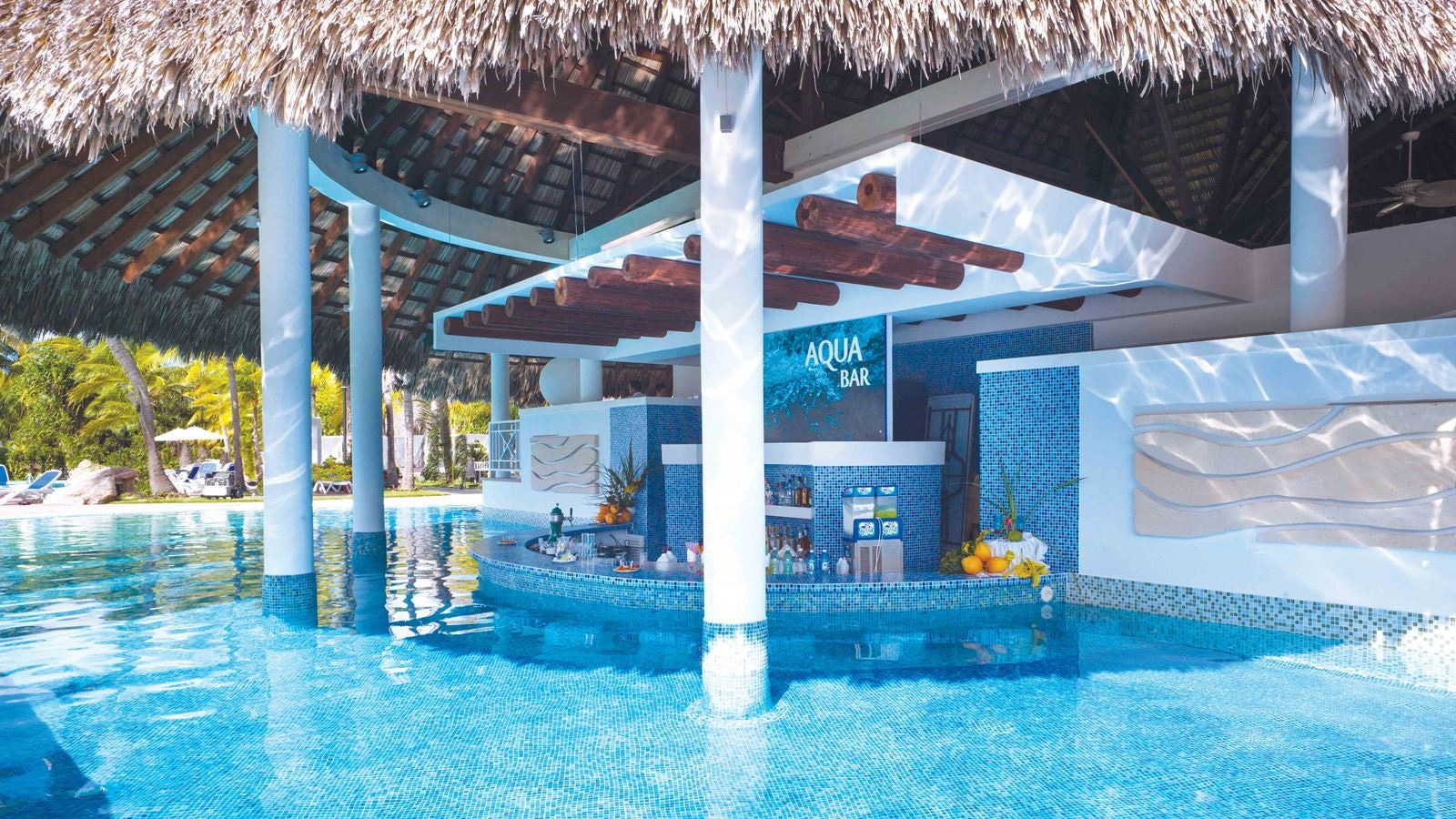 bars-dips-swim-up-bar