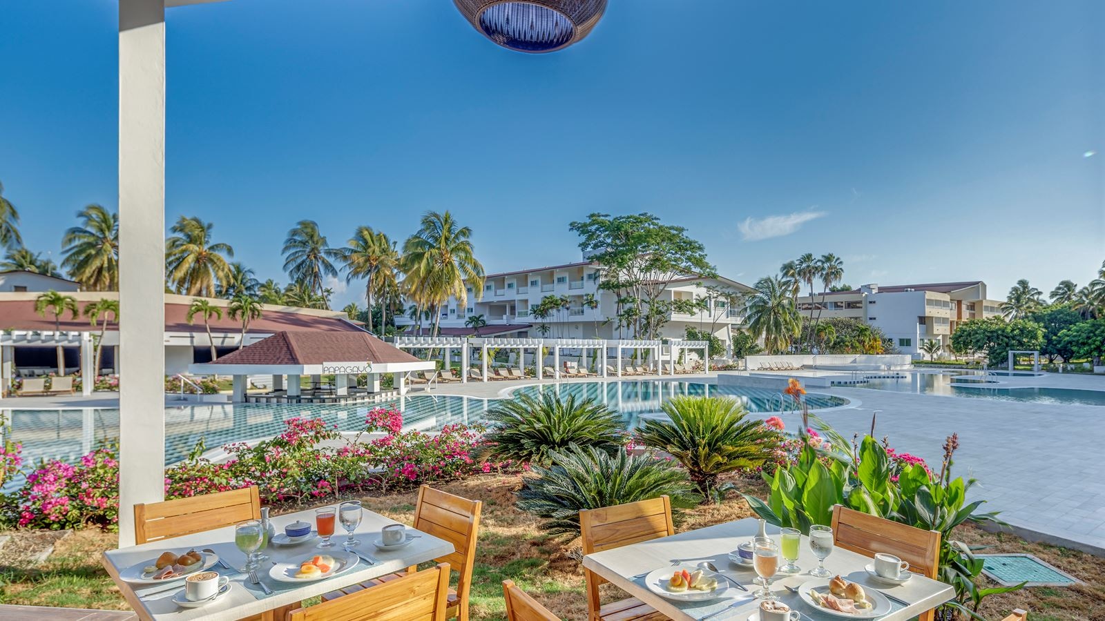 restaurants-the-kitchen