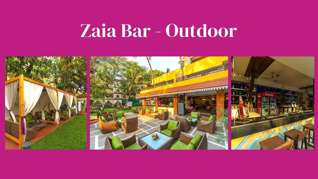 bars-zaia-bar