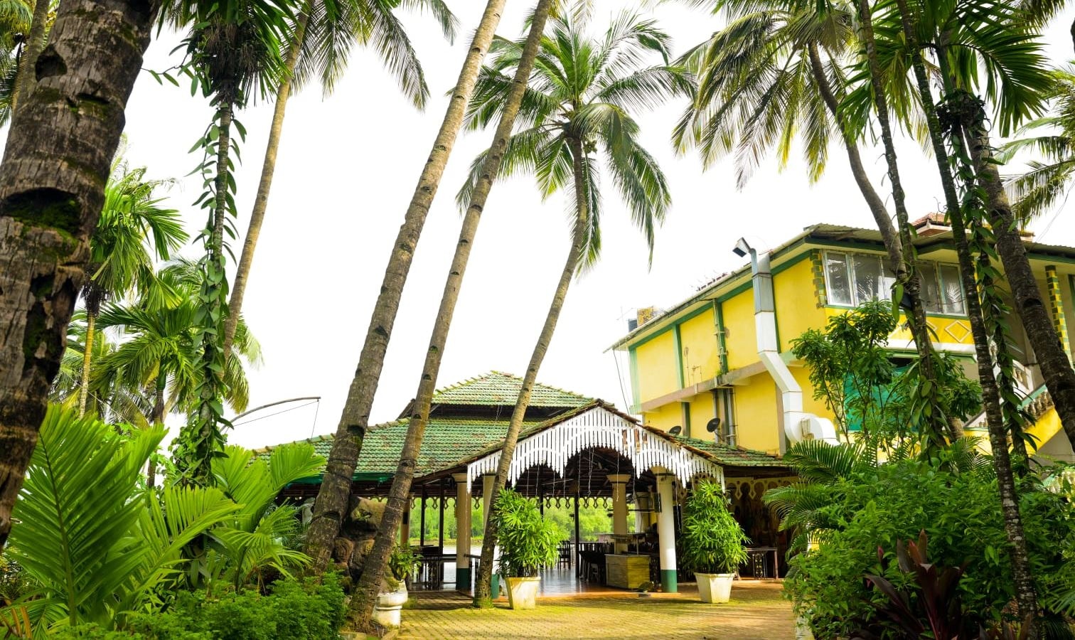 restaurants-restaurants