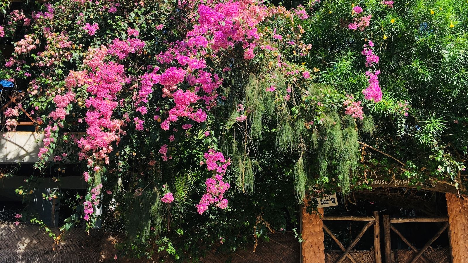 general-annex-building