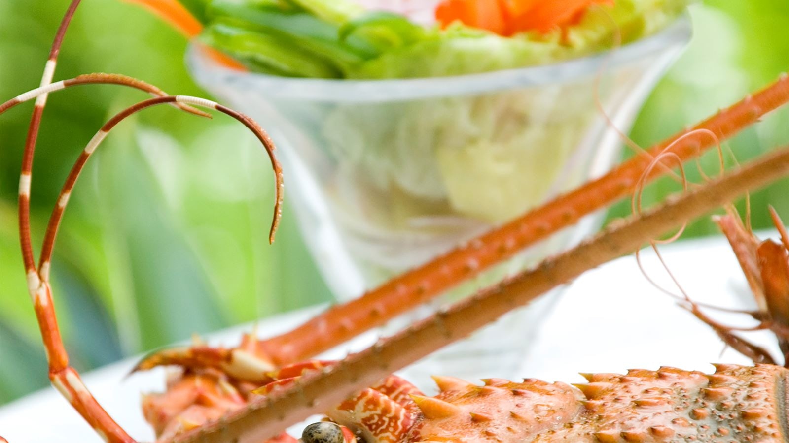 restaurants-salama-dining-room