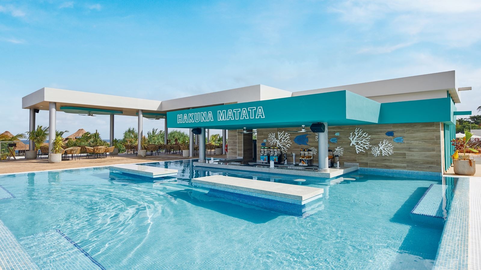 bars-pool-bar	hakuna-matata-18+