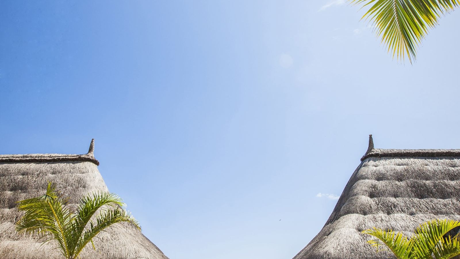 restaurants-sandy-lane