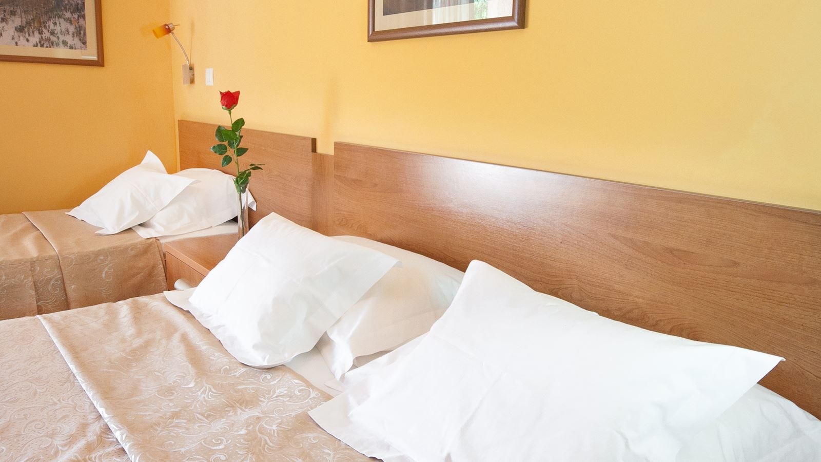 rooms-standard-twin-room