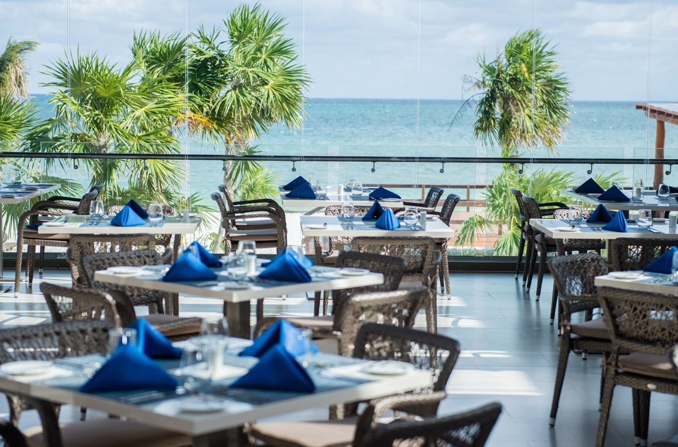 restaurants-armadillo-|-texmex-cuisine