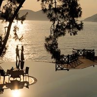 ბარი preview