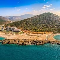 ყველა preview