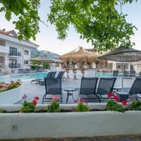 ბარი preview