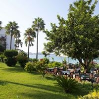 ბარი preview