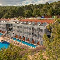 ყველა preview