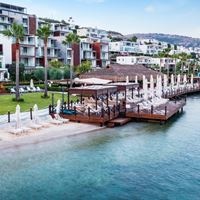 ყველა preview