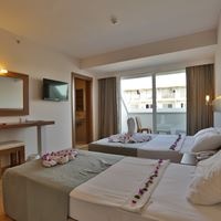 ნომრები preview