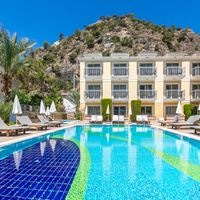 ყველა preview