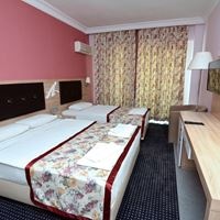 ნომრები preview