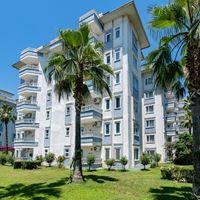 ყველა preview