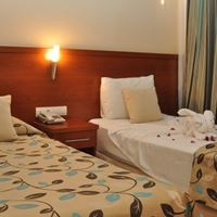 ნომრები preview