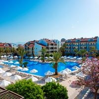 ყველა preview