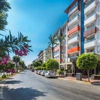 ყველა preview