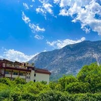 ყველა preview