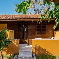 ნომრები preview