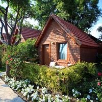 ნომრები preview