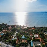 ყველა preview