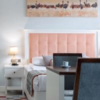 ნომრები preview