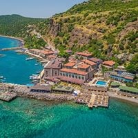 ყველა preview