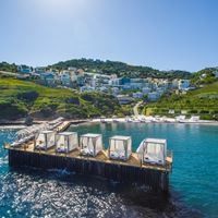 ყველა preview