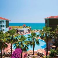 ყველა preview