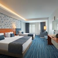 ნომრები preview