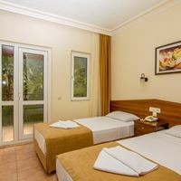 ნომრები preview