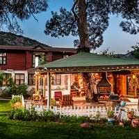 ყველა preview