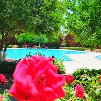 აუზები preview