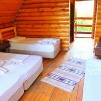 ნომრები preview