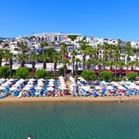 ყველა preview