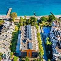 ყველა preview