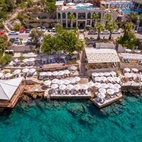 ყველა preview