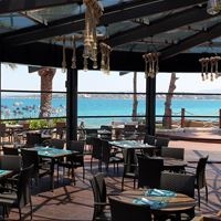 რესტორანი preview