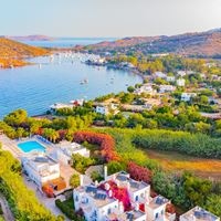 ყველა preview